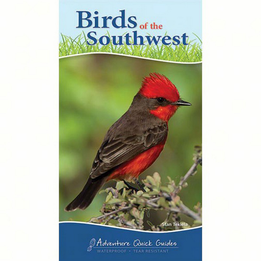 Birds of Southwest Quick Guide