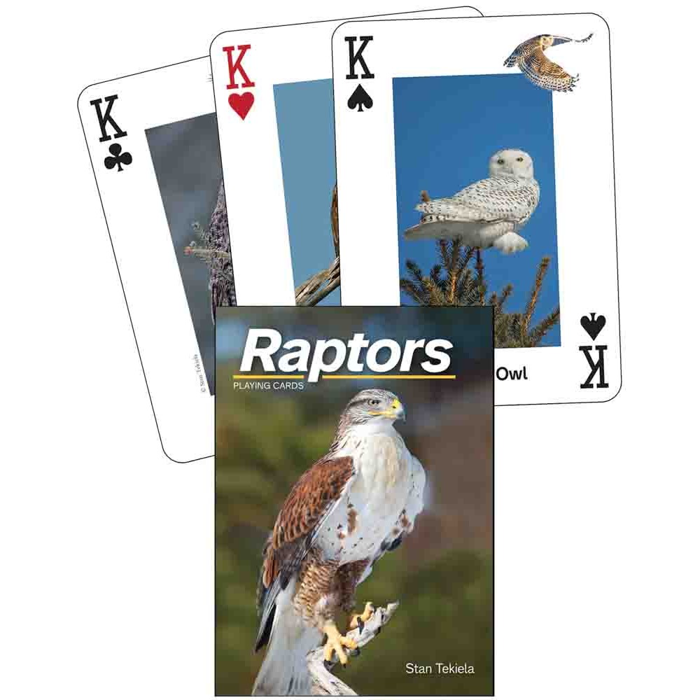 Raptors Playing Cards