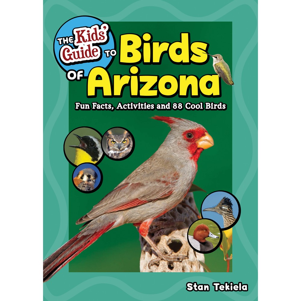 Kids Guide to Birds of Arizona