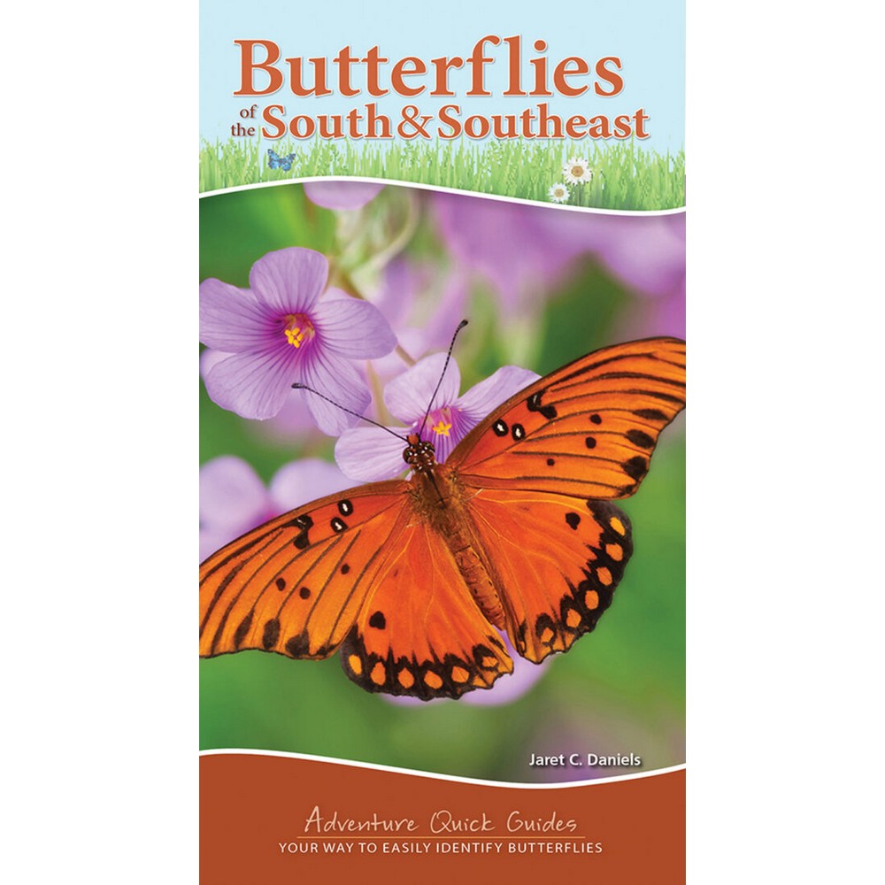 Butterflies of the South & Southeast