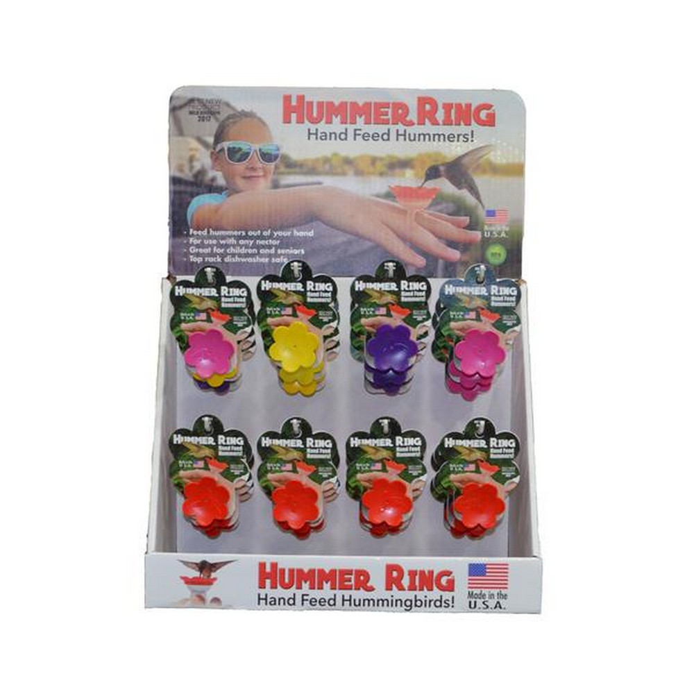 24 Piece Hummer Ring Display Multi-Color