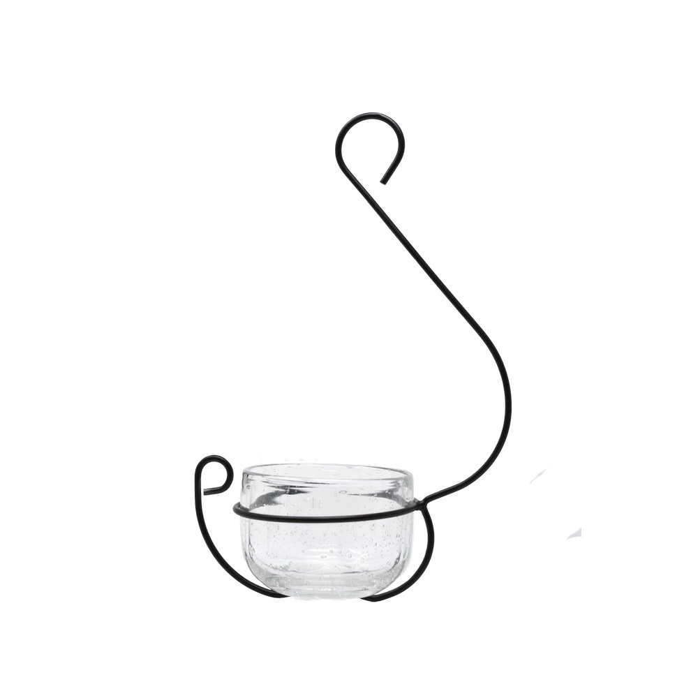 Clear Glass Hanging Treat and Mealworm Feeder