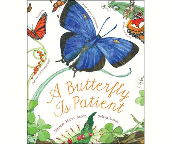 A Butterfly Is Patient