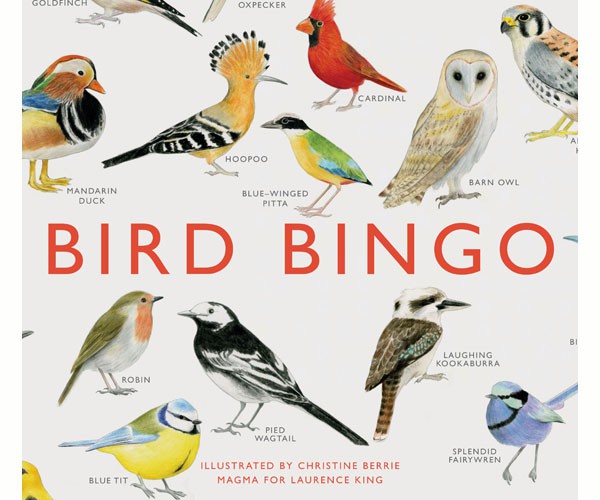 Bird Bingo