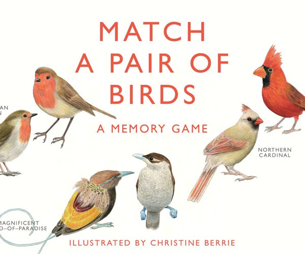 Match a Pair of Birds Memory Game