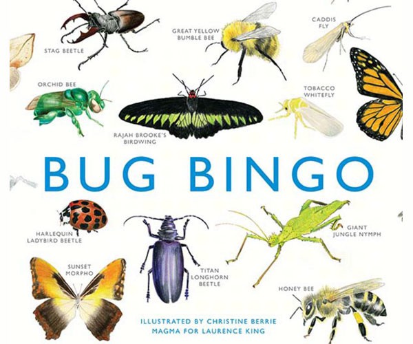 Bug Bingo