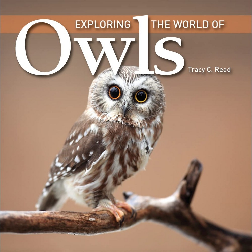 Exploring the World of Owls by Tracy