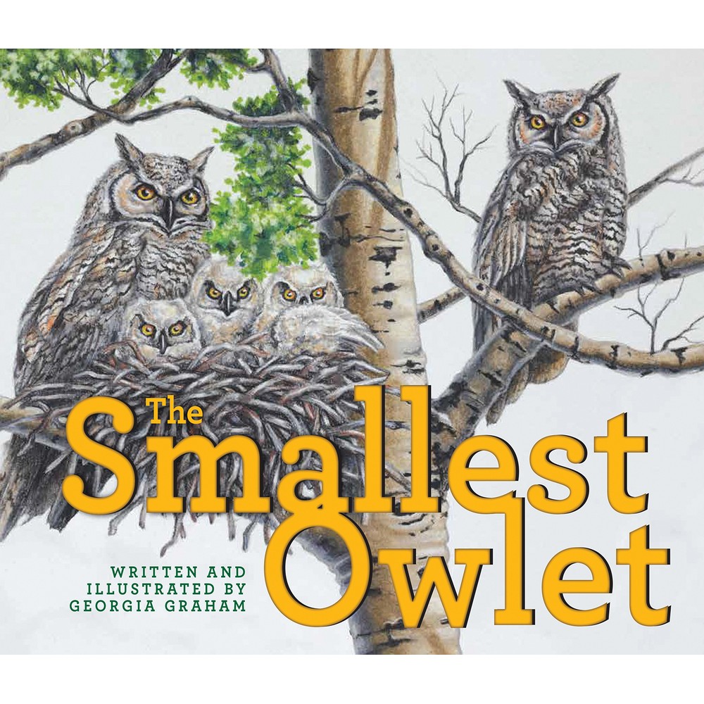 The Smallest Owlet