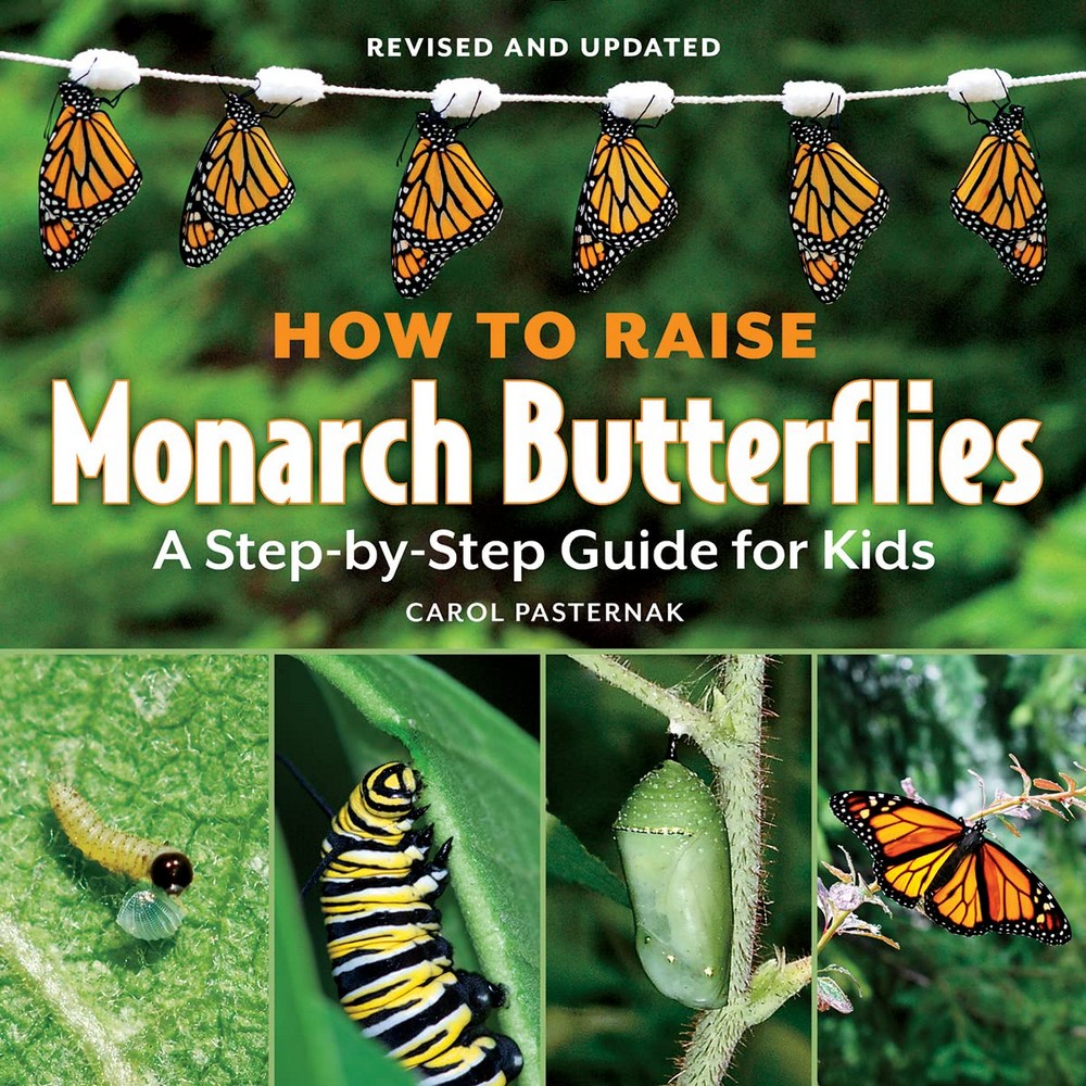 How to Raise Monarch Butterflies For Kids by Carol Pasternak