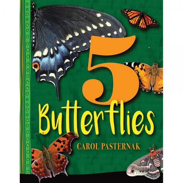 5 Butterflies