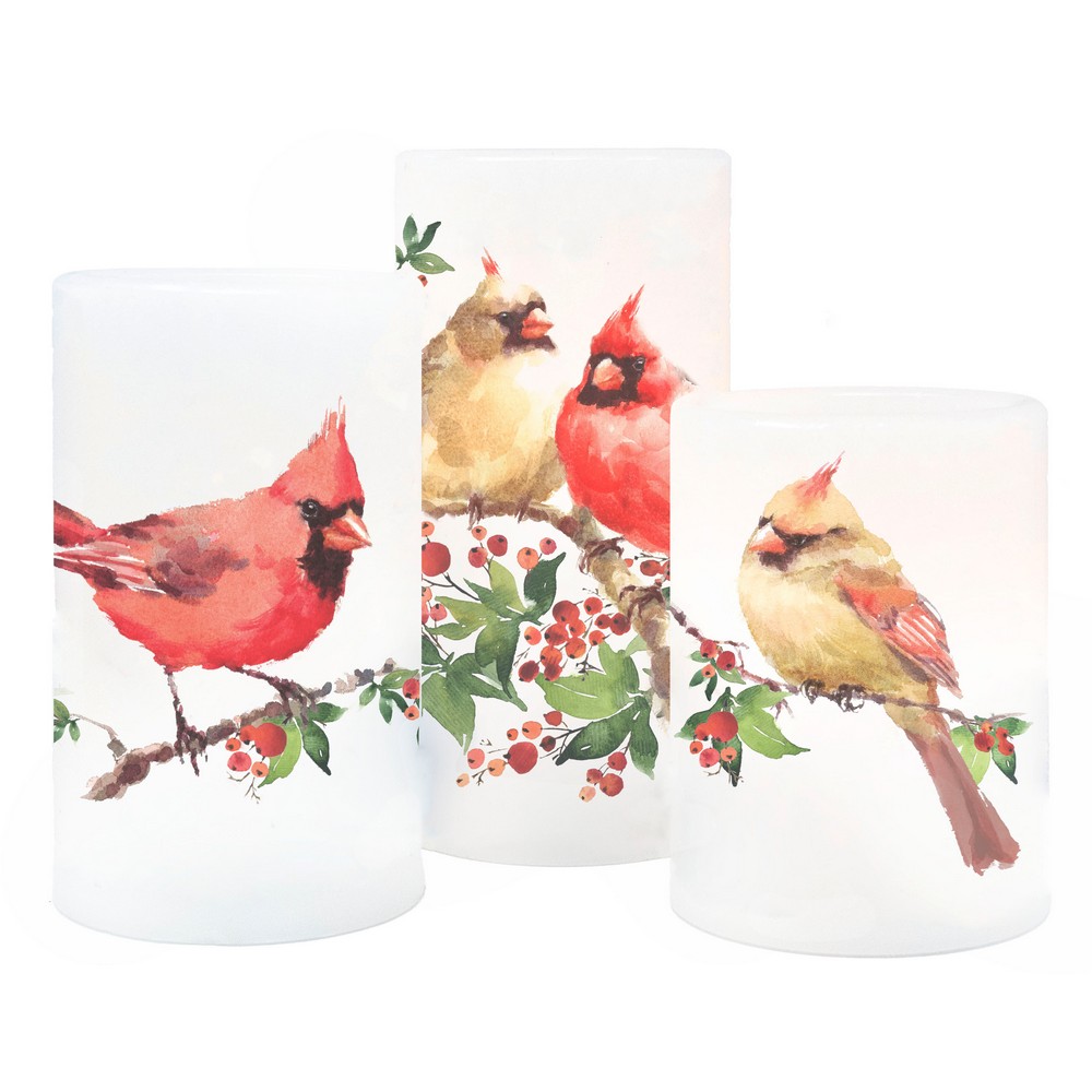 3 Piece Set Cardinal Pair LED Candles