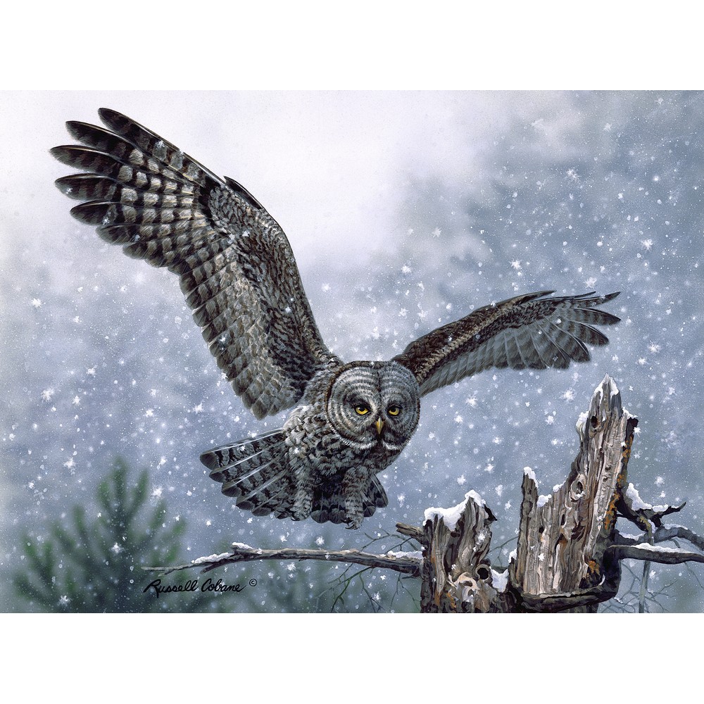 Snowy Landing 1000 Piece Puzzle