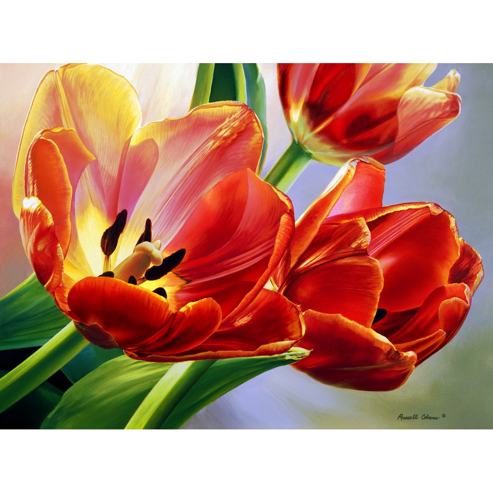 Tulips 1000 Piece Puzzle