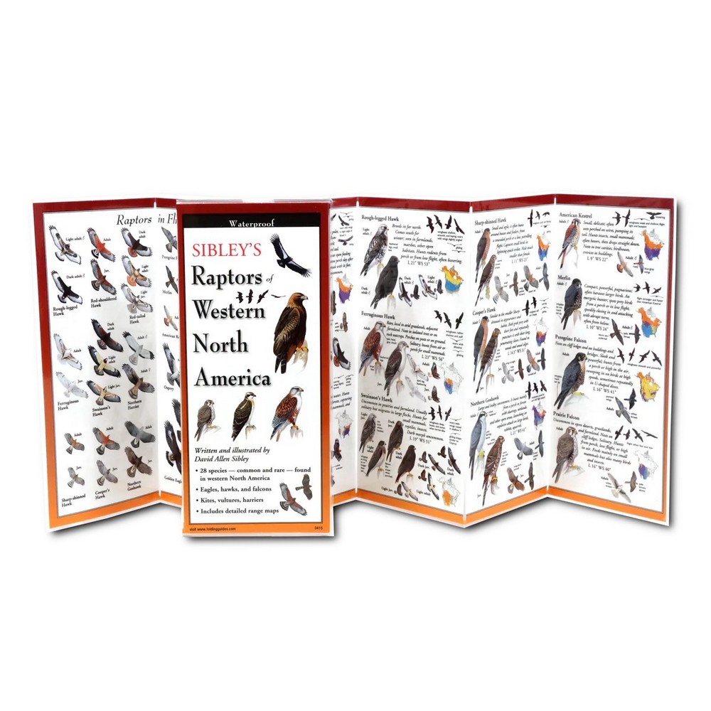 Sibleys Raptors of Western North America