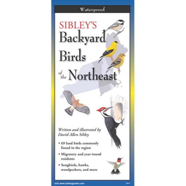 Sibleys Backyard Birds of the Northeast