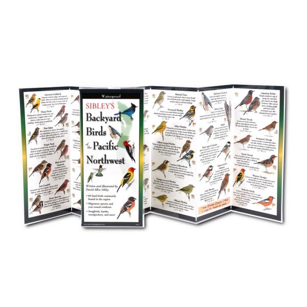 Sibleys Backyard Birds of the Pacific Northwest