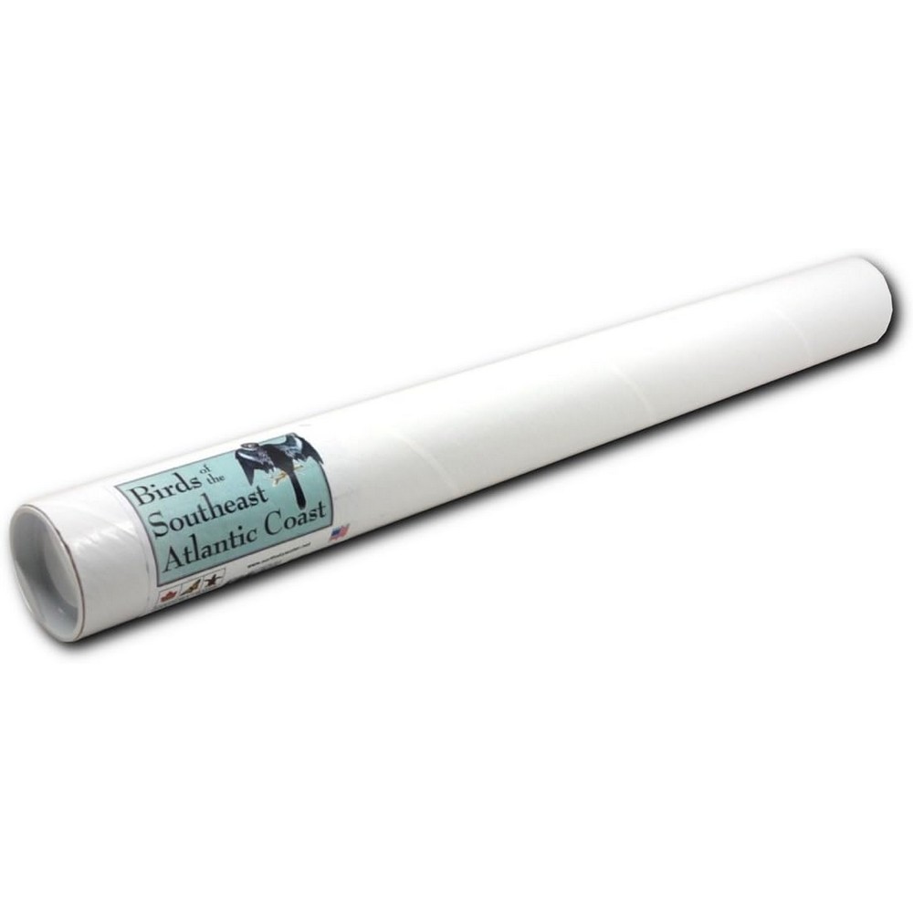 Birds of the Southeast Atlantic Coast Poster