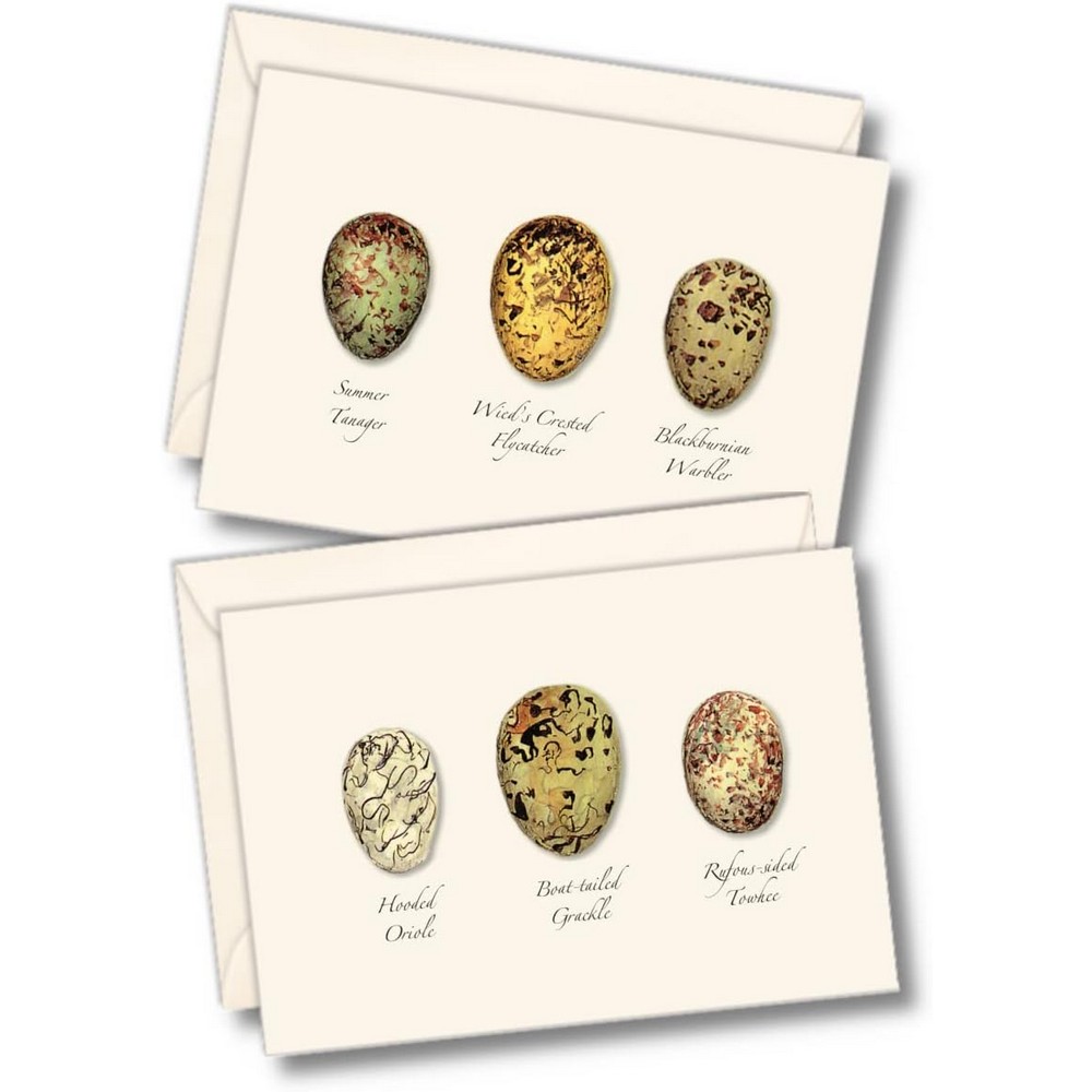 Bird Egg Assortment II