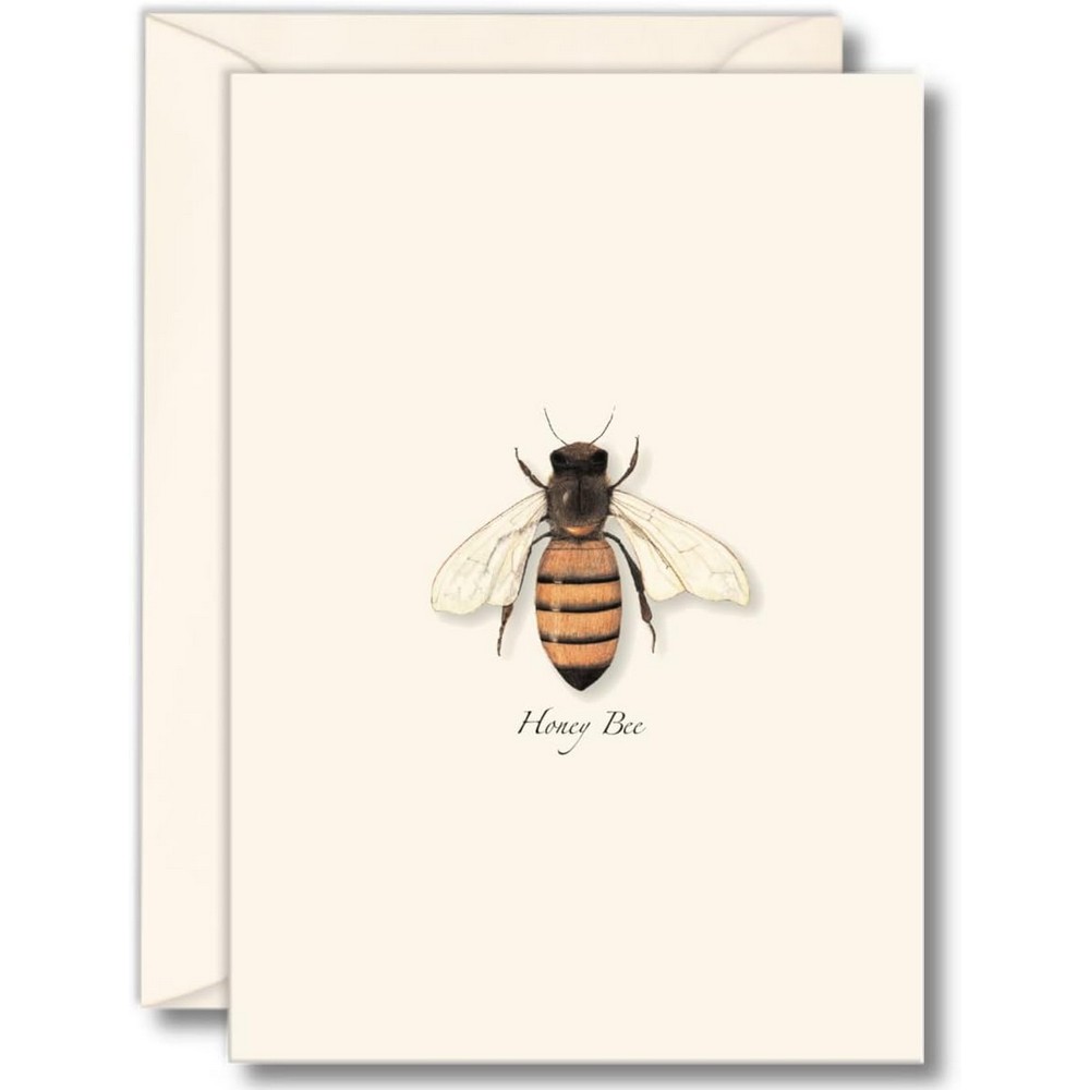 Honey Bee Notecards