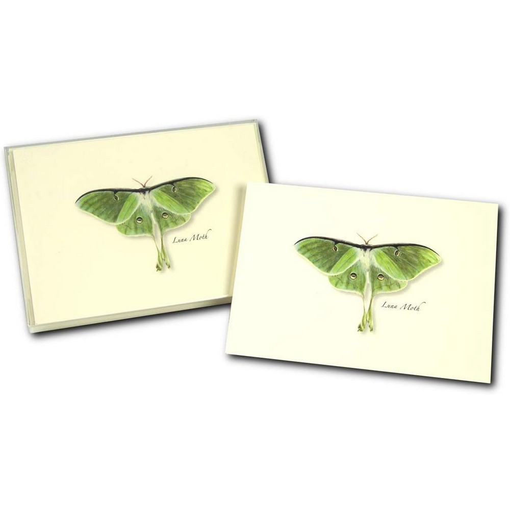 Luna Moth Boxed Notes