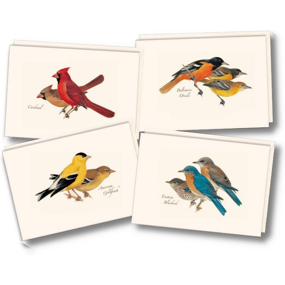Peterson Bird Notecard Assortment