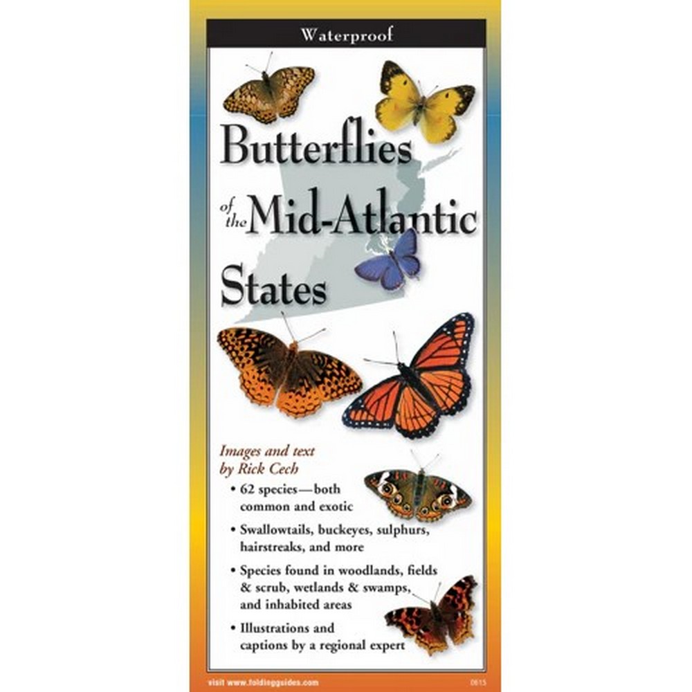 Butterflies of Mid-Atlantic