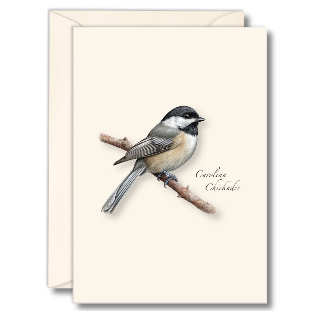 Carolina Chickadee Notecards