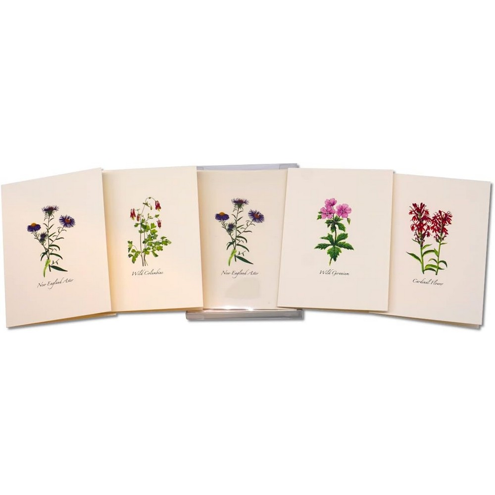 Meadow Wildflower Assorted Notecards