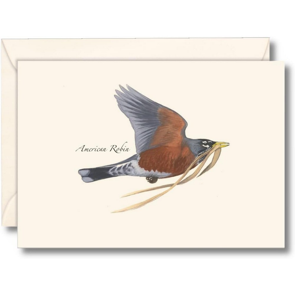 Robin in Flight Notecards
