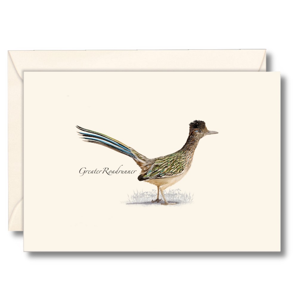 Roadrunner Notecards
