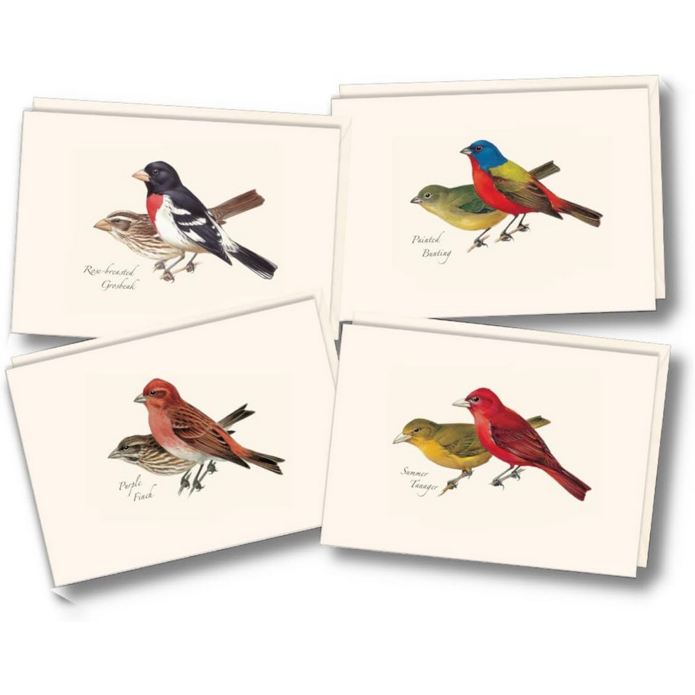 Peterson Bird Notecard Assortment II