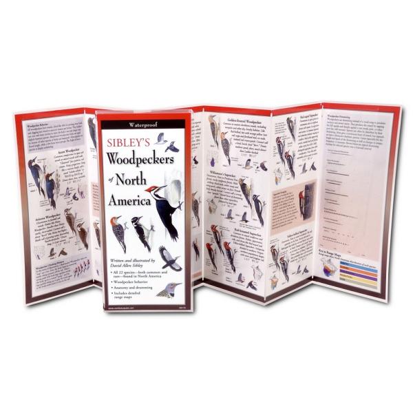 Sibleys Woodpeckers of North America