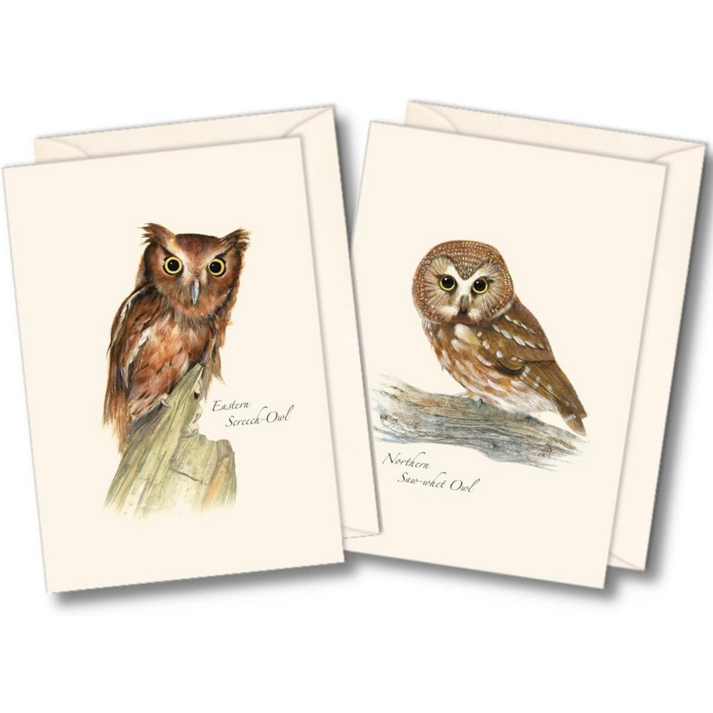 Owl Notecard Assortment II