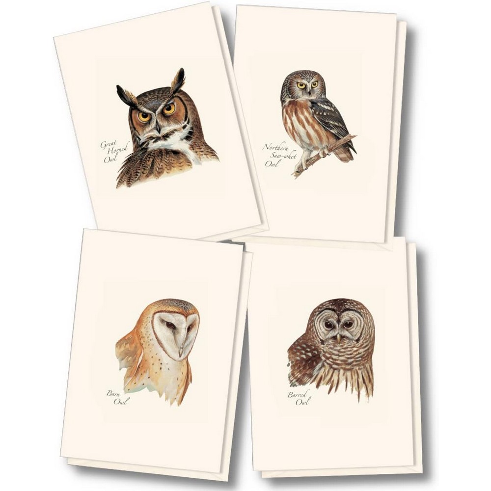 Petersons Owls Notecard Assortment