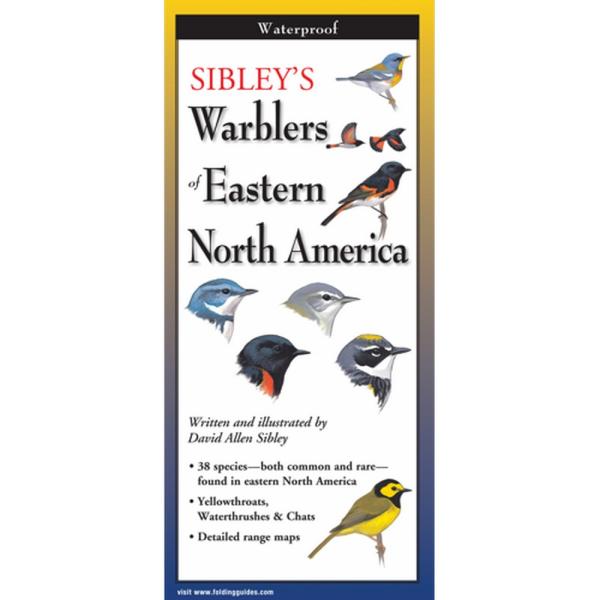 Sibleys Warblers of Eastern North America