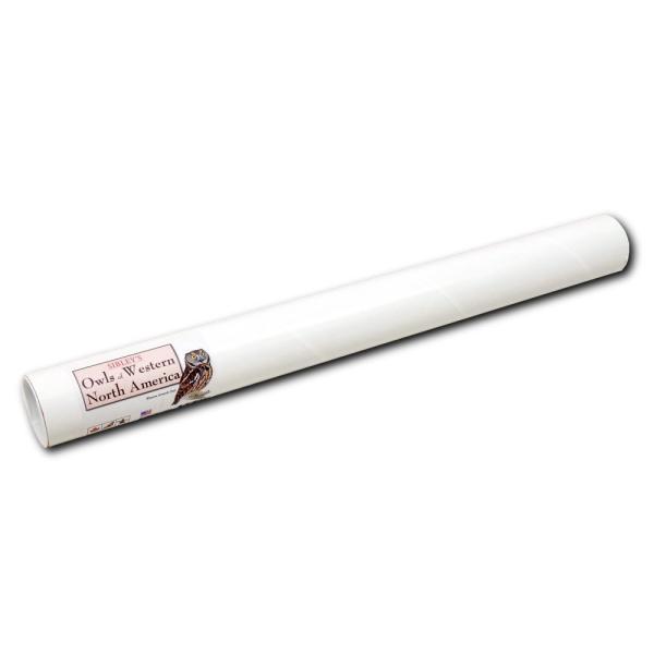 Owls of Western North America Poster