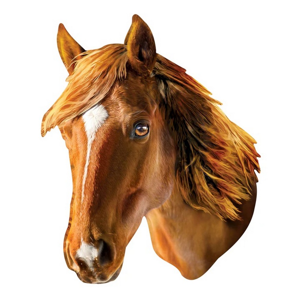Horse Squzzles 100 pcs