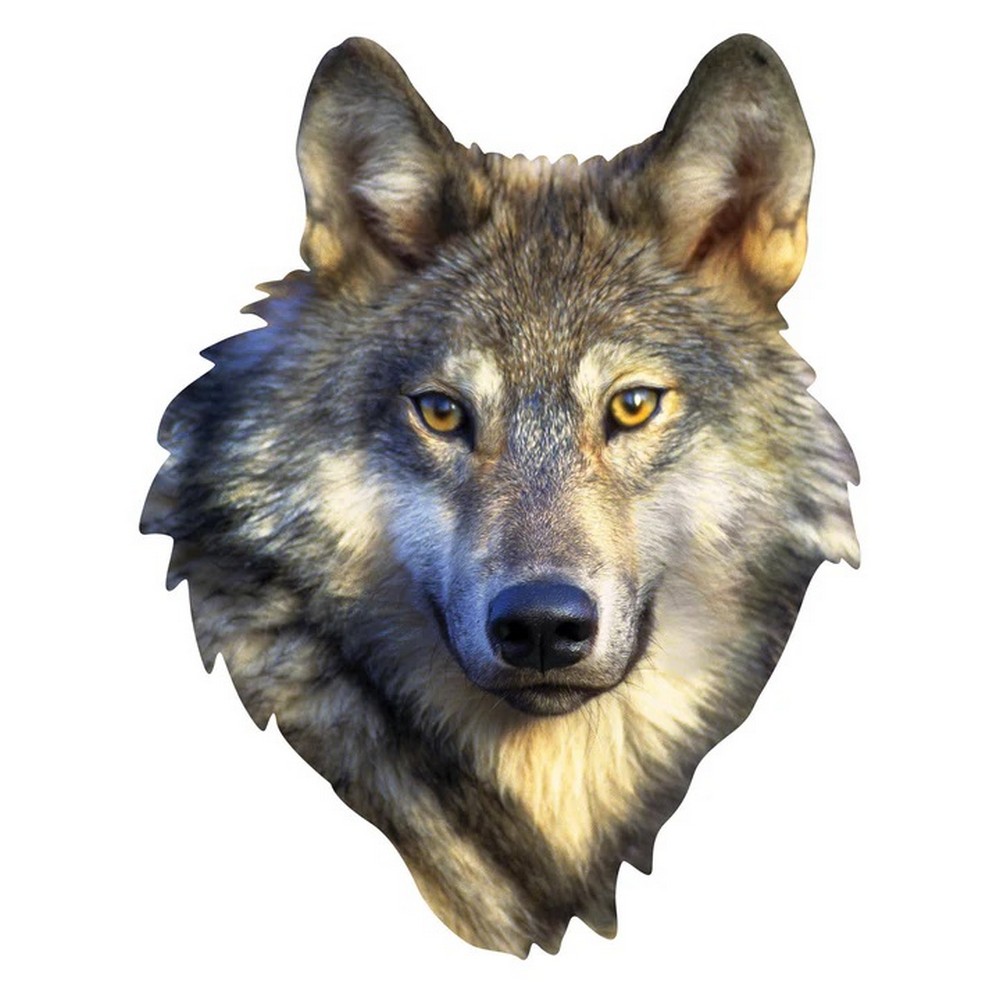 Wolf Squzzles 100 pcs