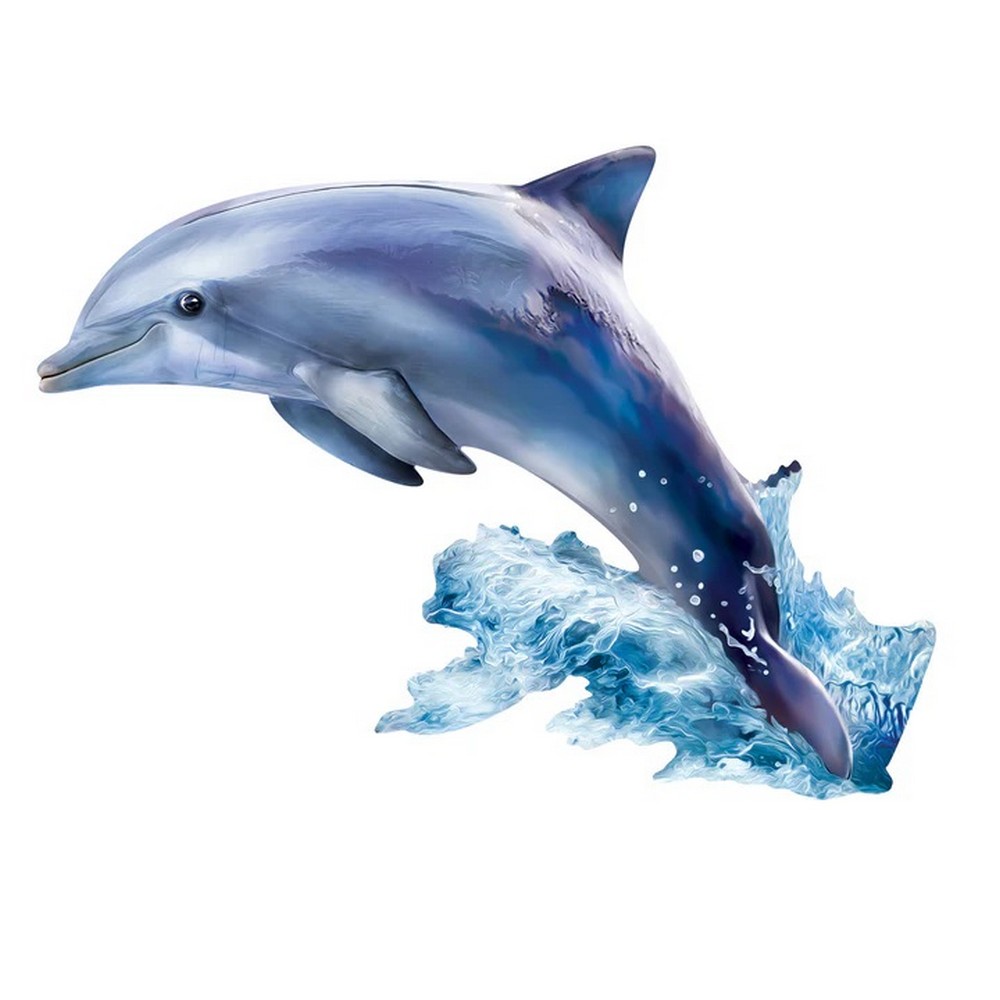 Dolphin Squzzles 100 pcs