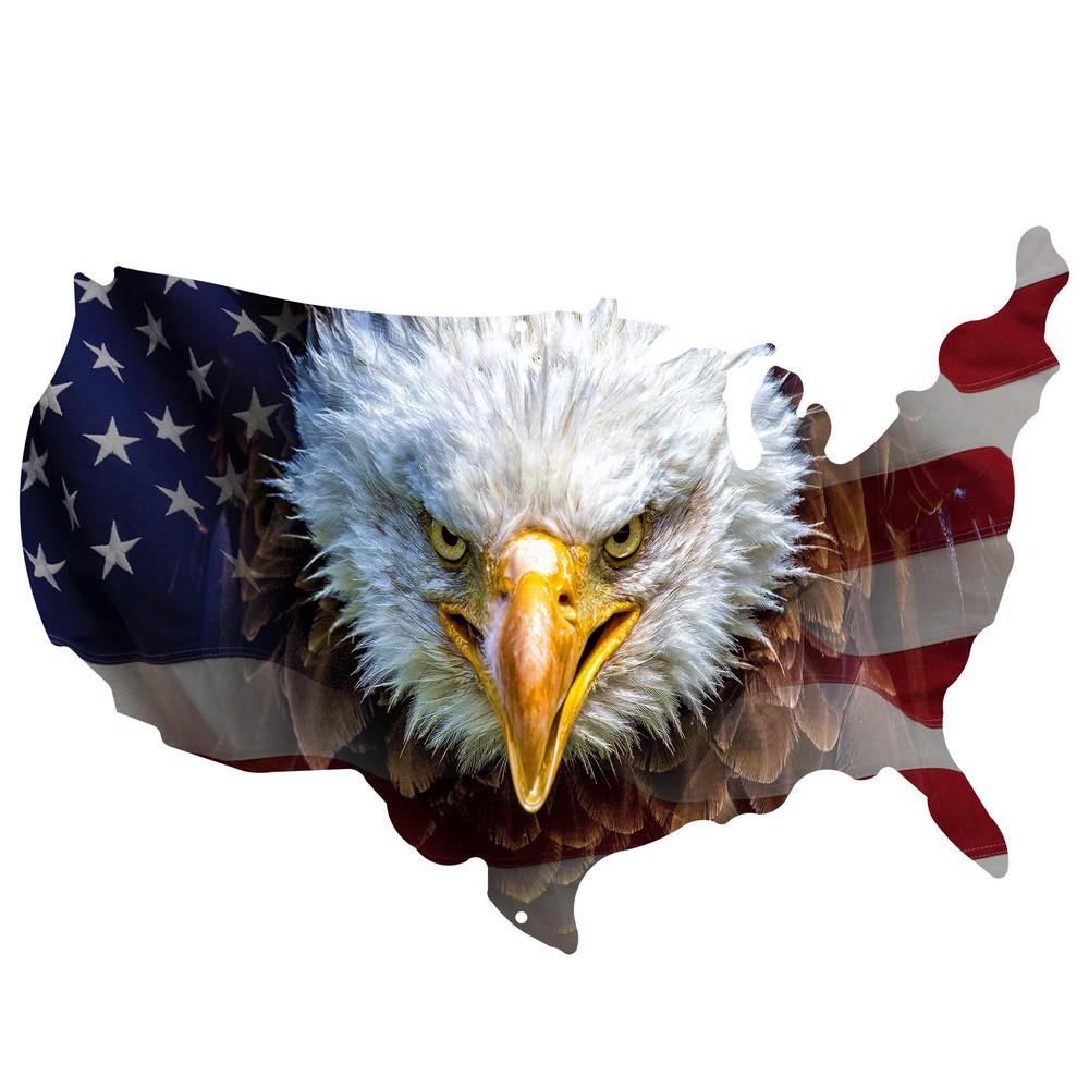 USA Shape Face of Freedom Wall Art