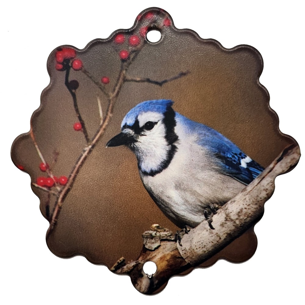 Bluejay 1 Ornament