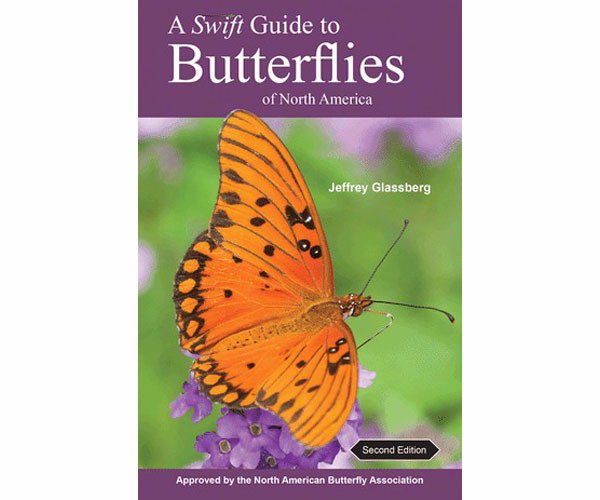A Swift Guide to Butterflies of North America by Jeffrey Glassberg