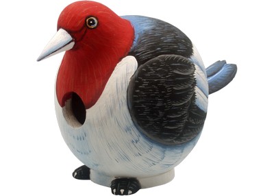 Woodpecker Gord-O Bird House