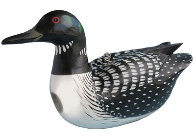 Bird House Loon