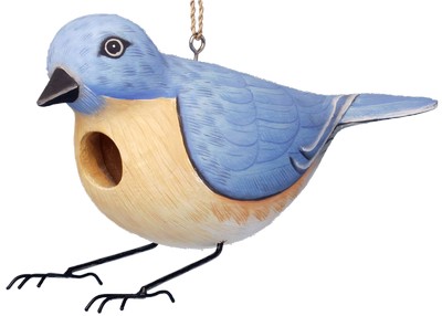 Eastern Bluebird Bird House