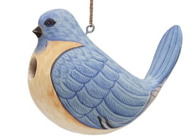 Fat Bluebird Bird House