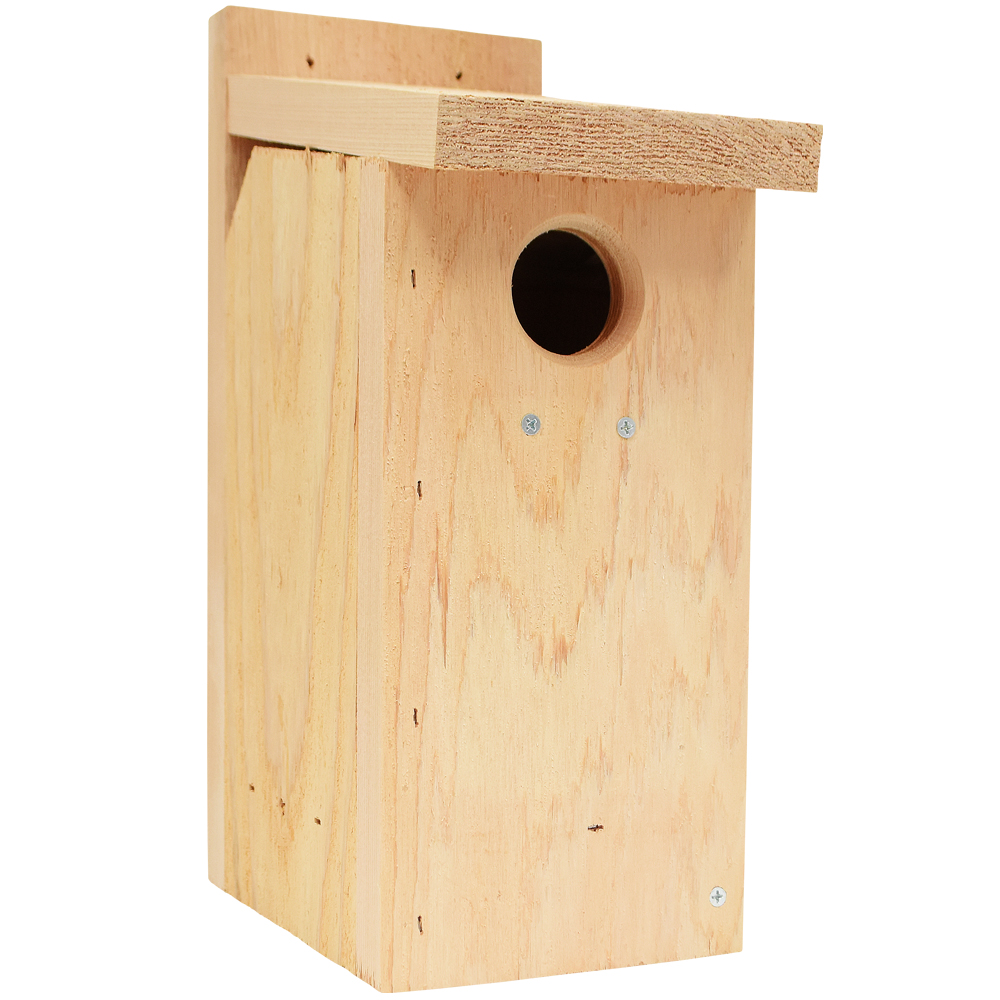 Western Bluebird View Thru House