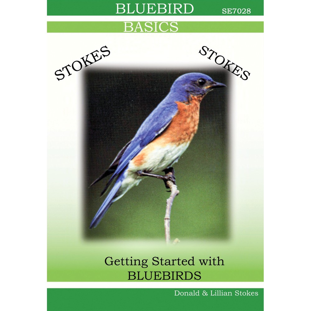 Stokes Bluebird DVD Video