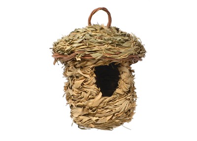 Acorn Hanging Roosting House