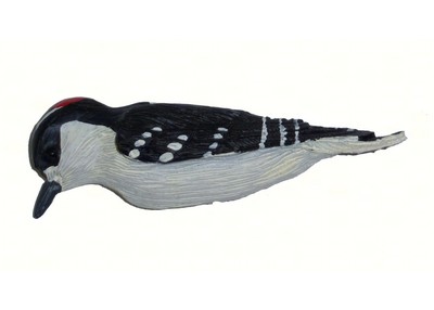 Woodpecker Magnet